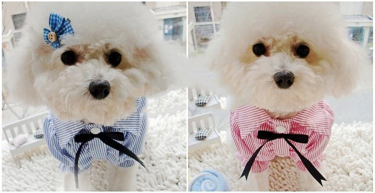 Bubble Sleeve Bow Pet Shirt