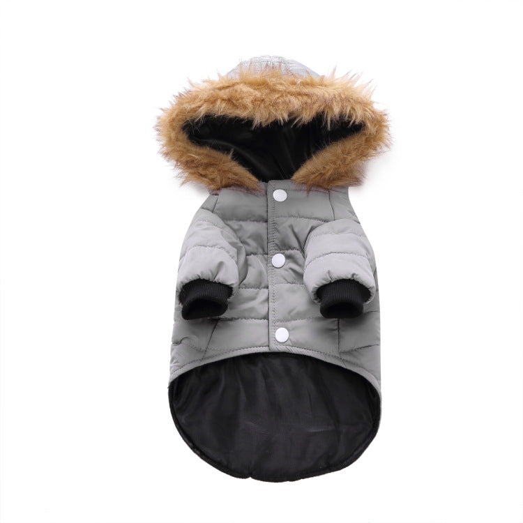 Winter clothing for pets | LePetBoutique
