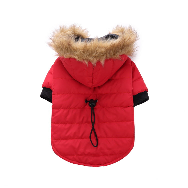 Winter clothing for pets | LePetBoutique