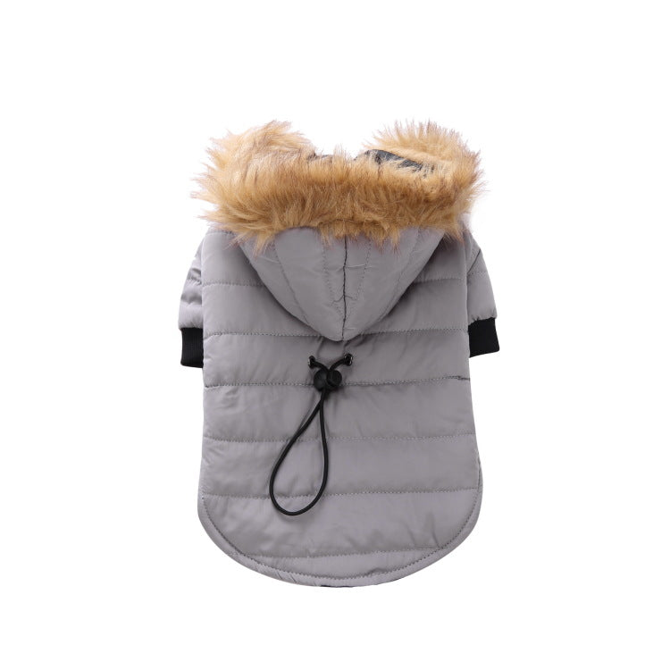 Winter clothing for pets | LePetBoutique