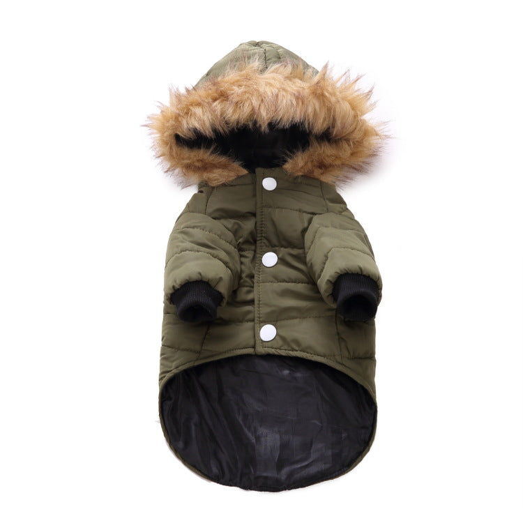 Winter clothing for pets | LePetBoutique