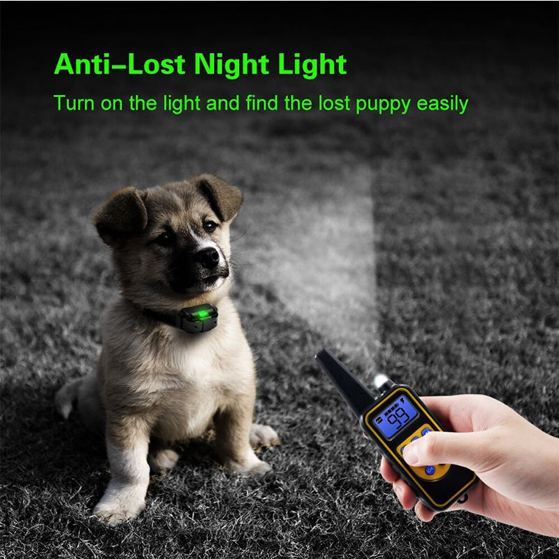 Remote Control Dog Training Device