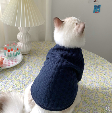 Warm And Cute Clothes | LePetBoutique