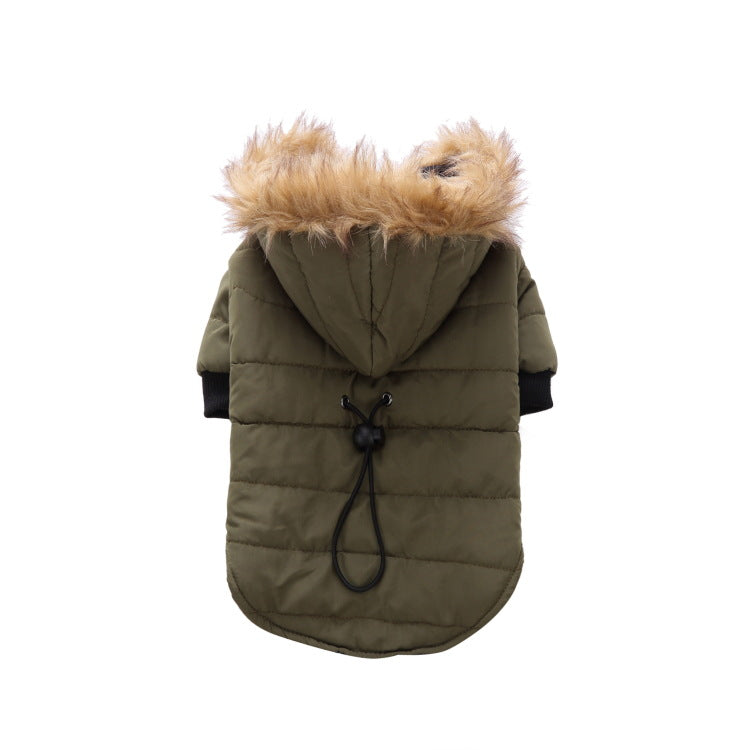 Winter clothing for pets | LePetBoutique