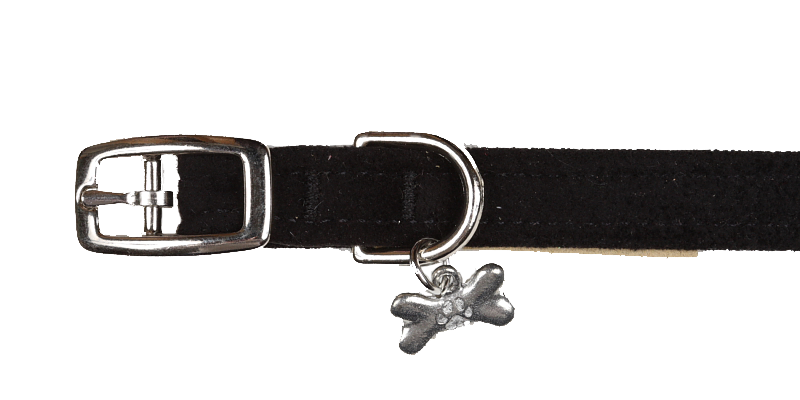 Black Collar