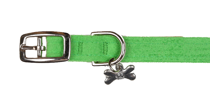 Green Collar
