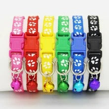 Bell Pet collar