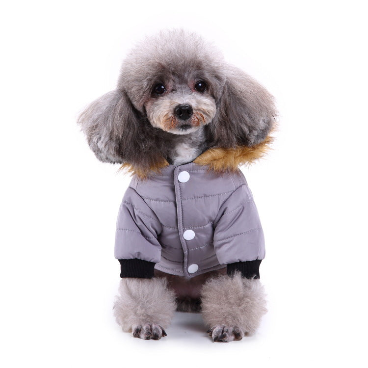 Winter clothing for pets | LePetBoutique