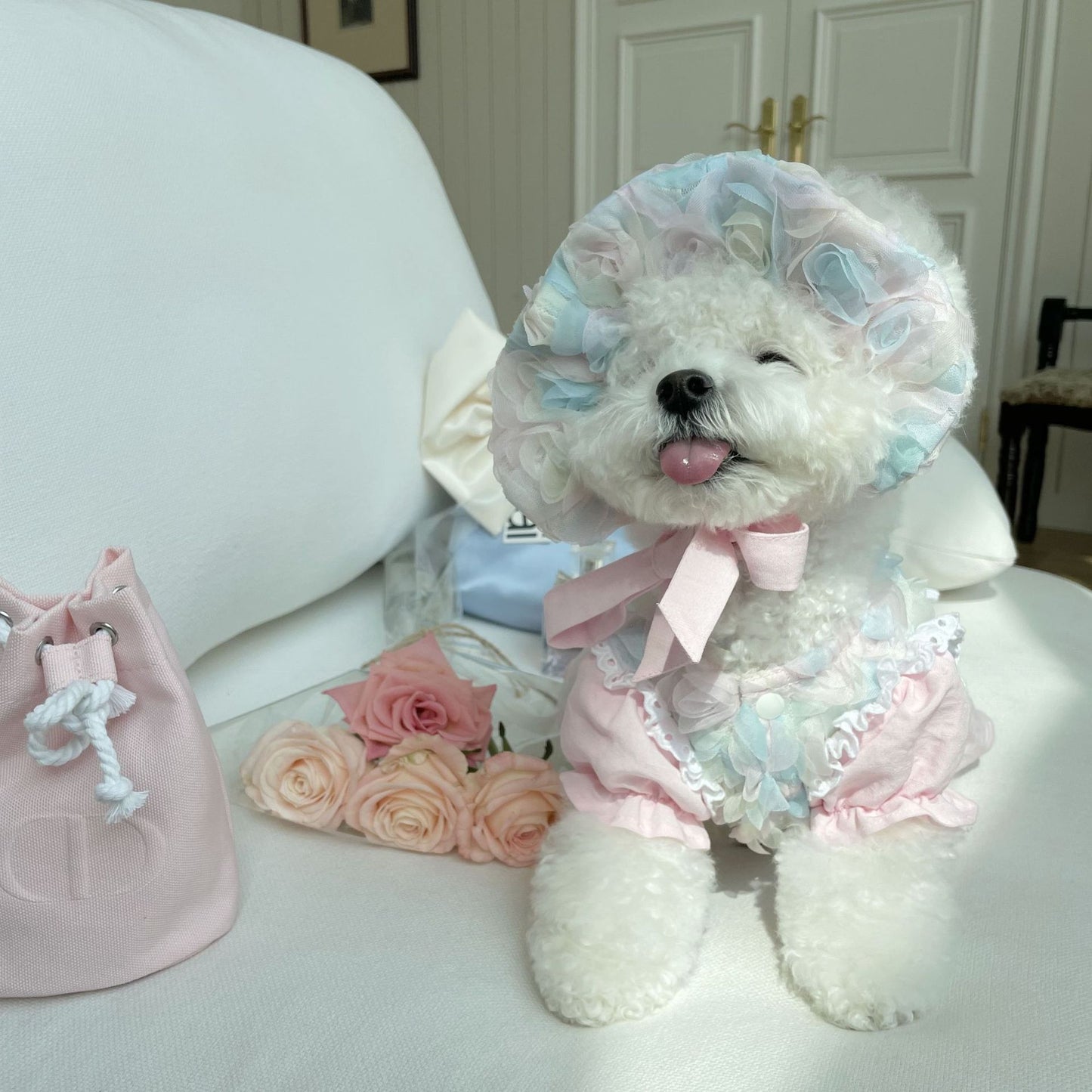 Embroidered Sleeve Clothes For Pets | LePetBoutique