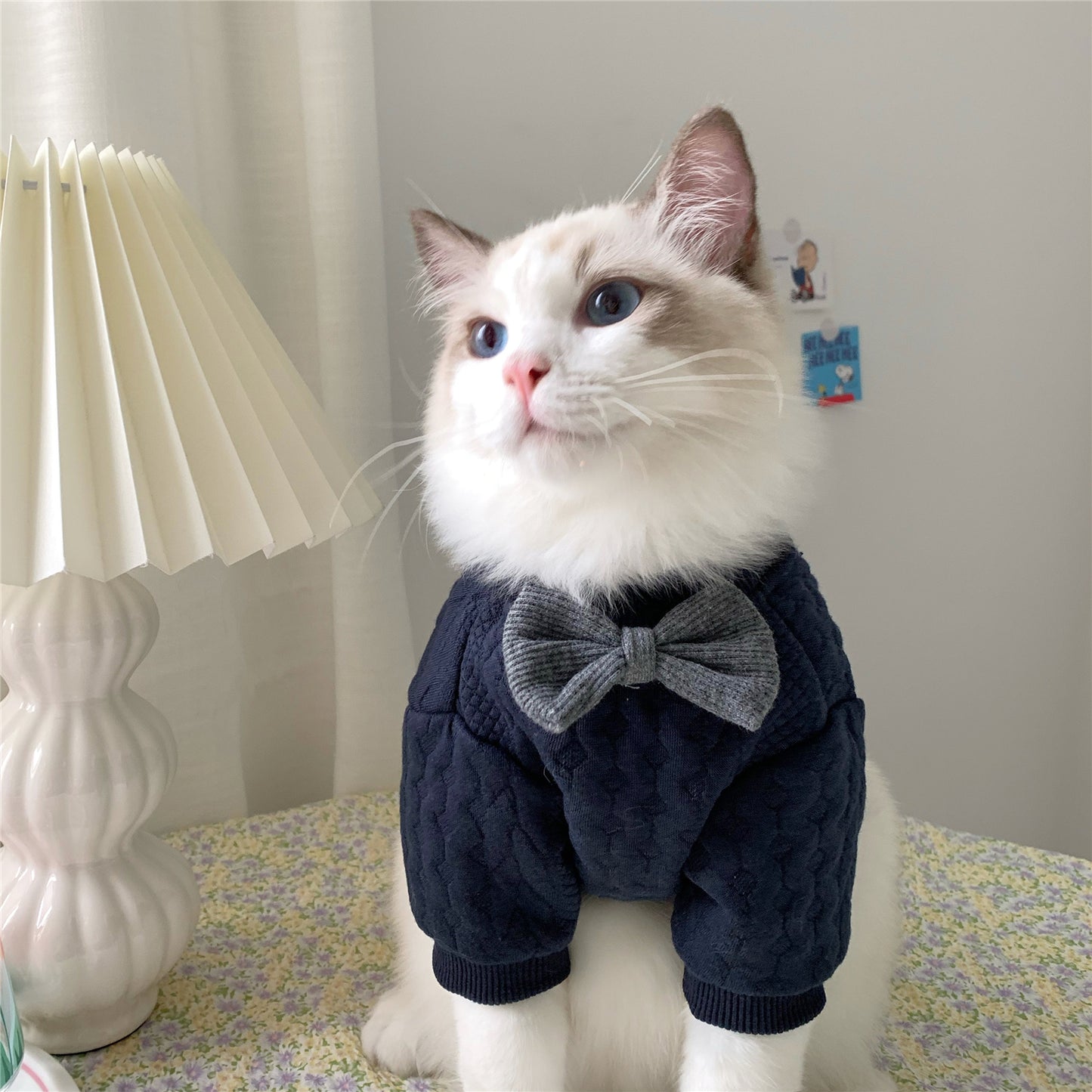 Warm And Cute Clothes | LePetBoutique