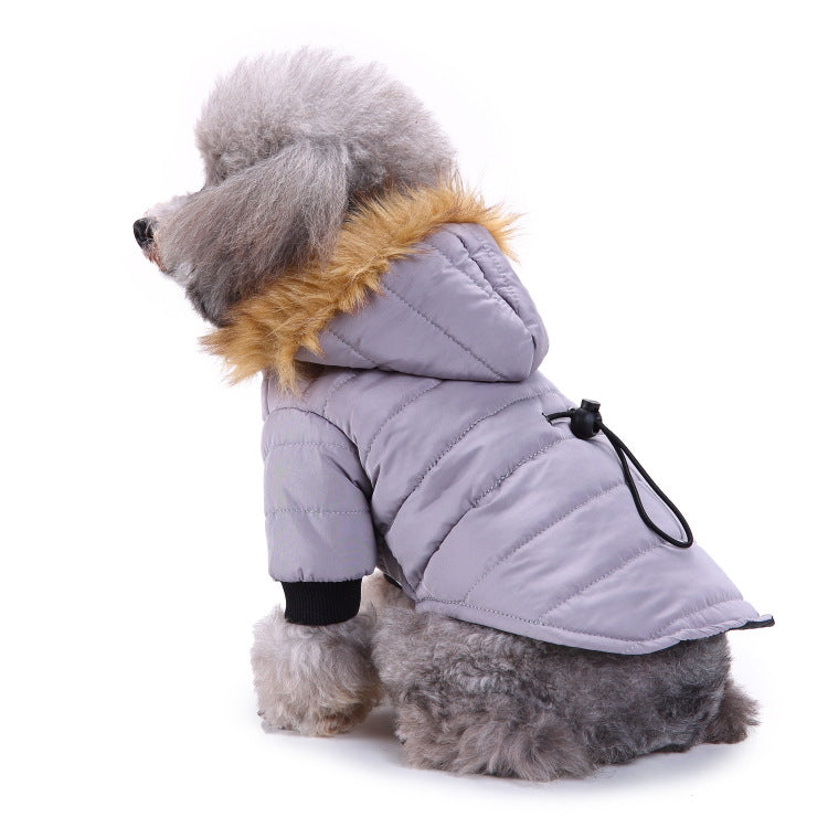 Winter clothing for pets | LePetBoutique