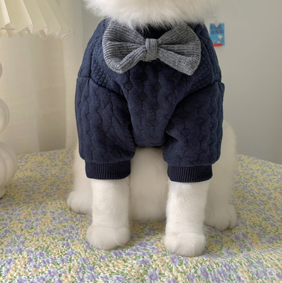 Warm And Cute Clothes | LePetBoutique