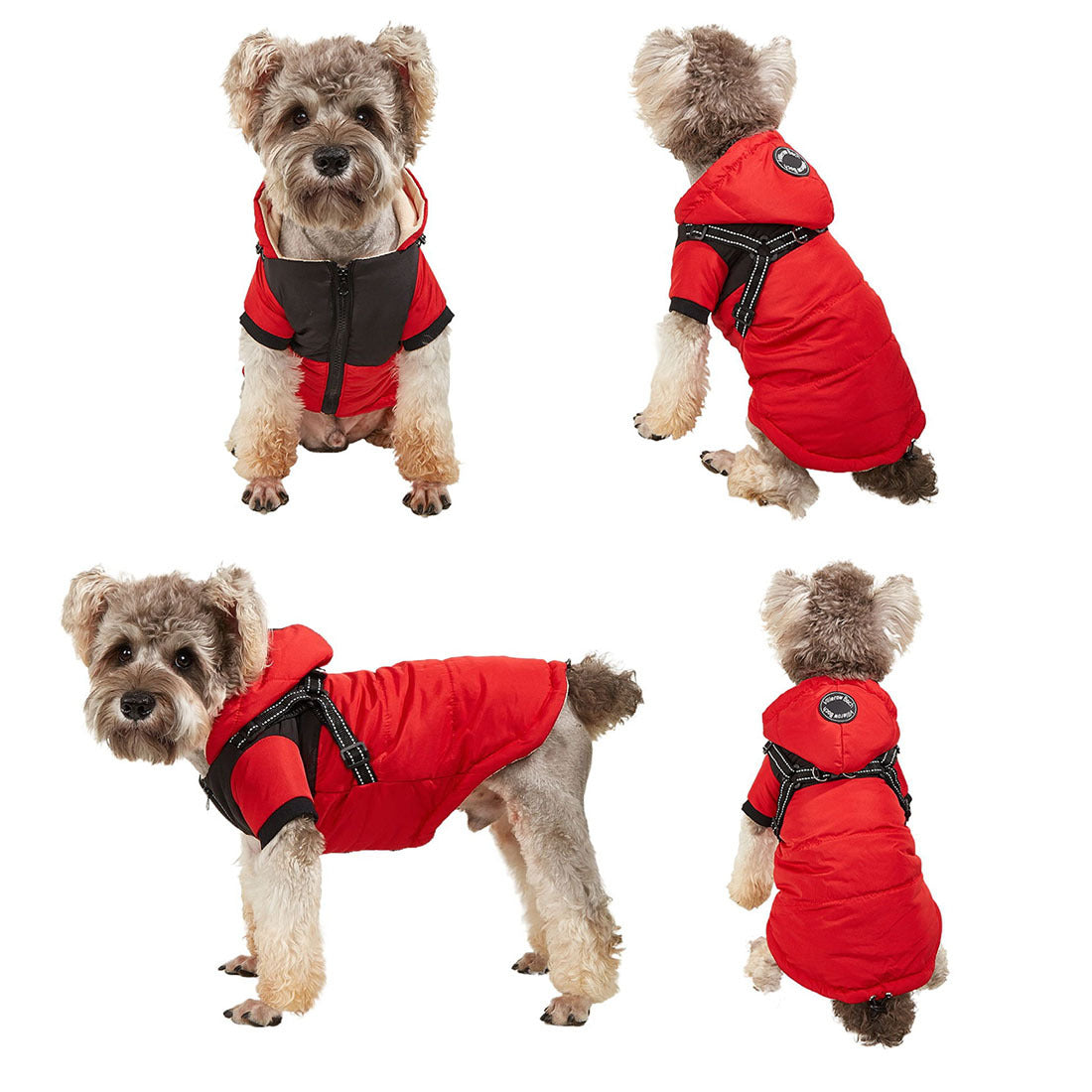 Pet Shell Jacket