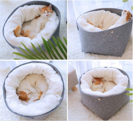 Pet bed