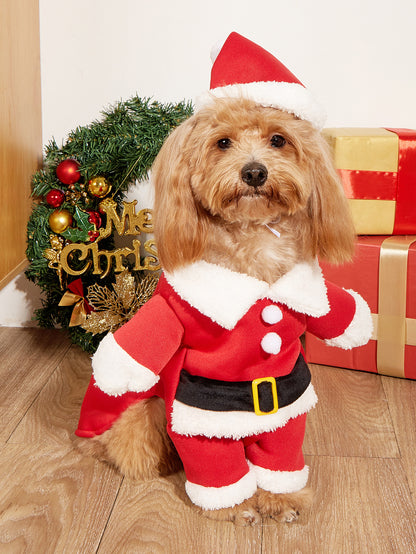 Christmas Pet  Costume