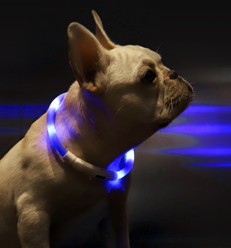 Pet Light Collar Anti-Lost Collar