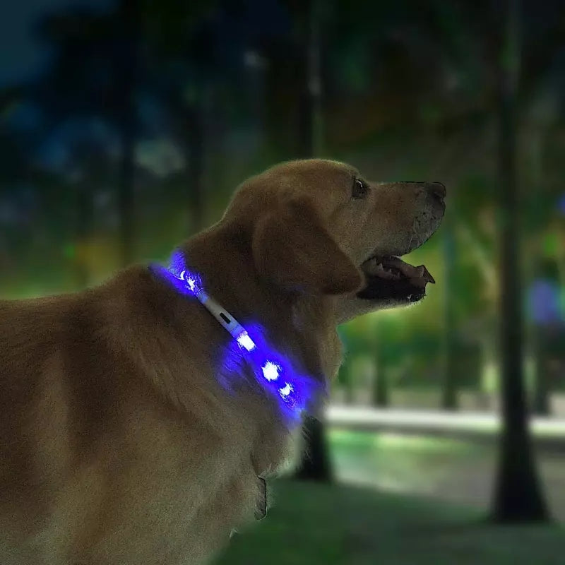 Pet Light Collar Anti-Lost Collar