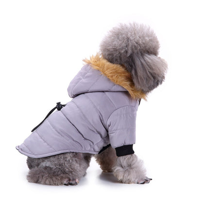 Winter clothing for pets |  LePetBoutique