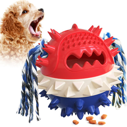 Molar Stick Vocal Dog Toy