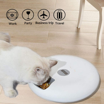 Automatic Feeder Pets