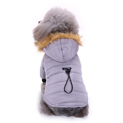 Winter clothing for pets |  LePetBoutique