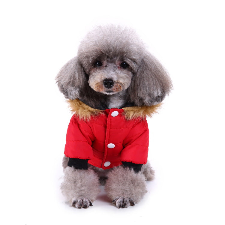 Winter clothing for pets |  LePetBoutique