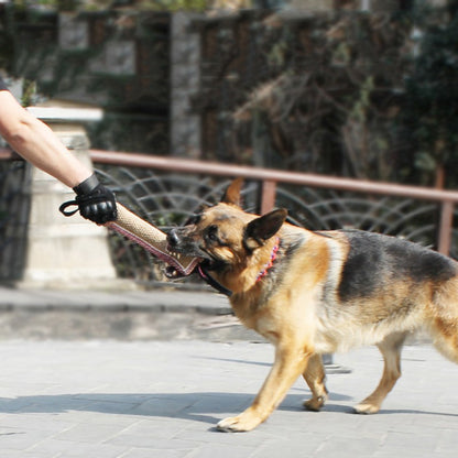 Biting Dog Training Pad