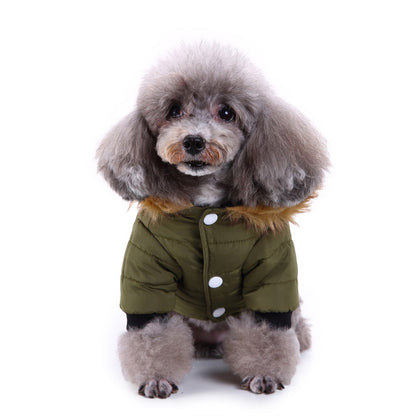 Winter clothing for pets |  LePetBoutique