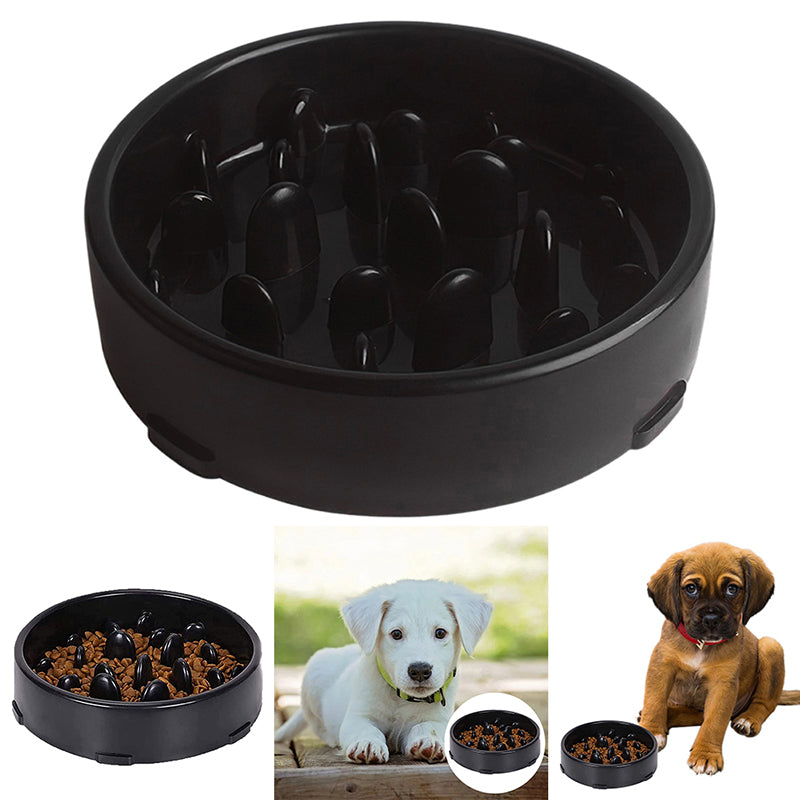 Pet Feeder Anti Choking Slow Food