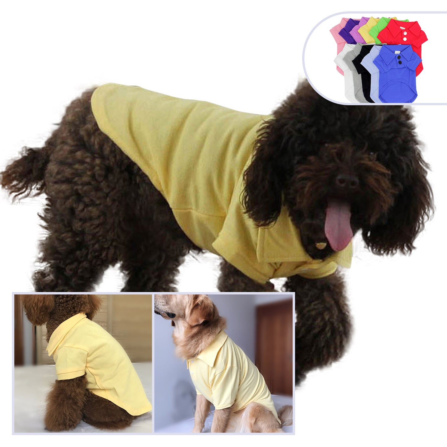 Pet clothing polo shirt | LePetBoutique