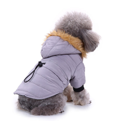 Winter clothing for pets |  LePetBoutique