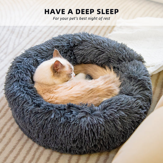 Cat Litter Bed