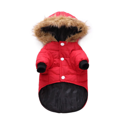 Winter clothing for pets |  LePetBoutique