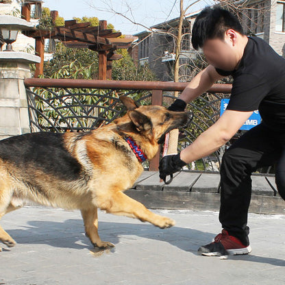 Biting Dog Training Pad