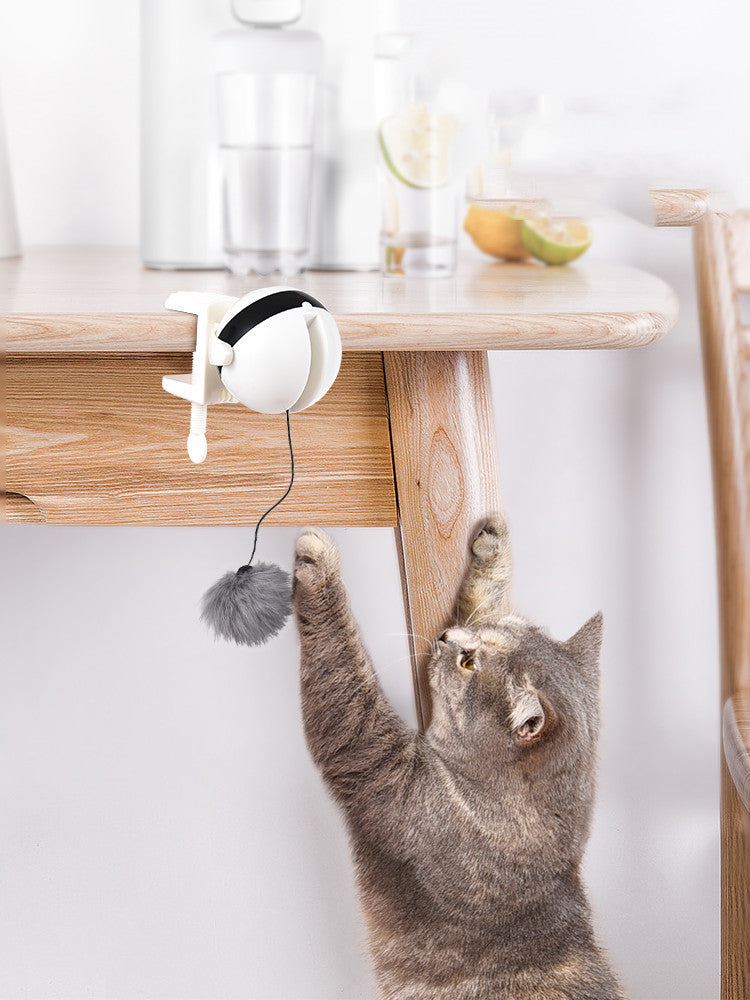 Smart Pet Cat Teaser Ball