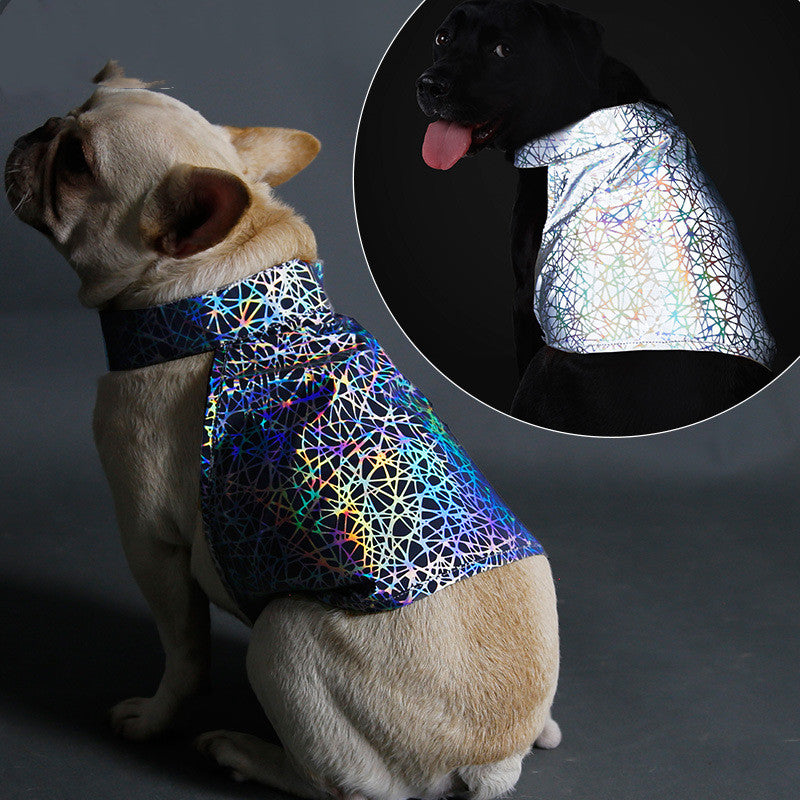 Reflective pet clothing | LePetBoutique