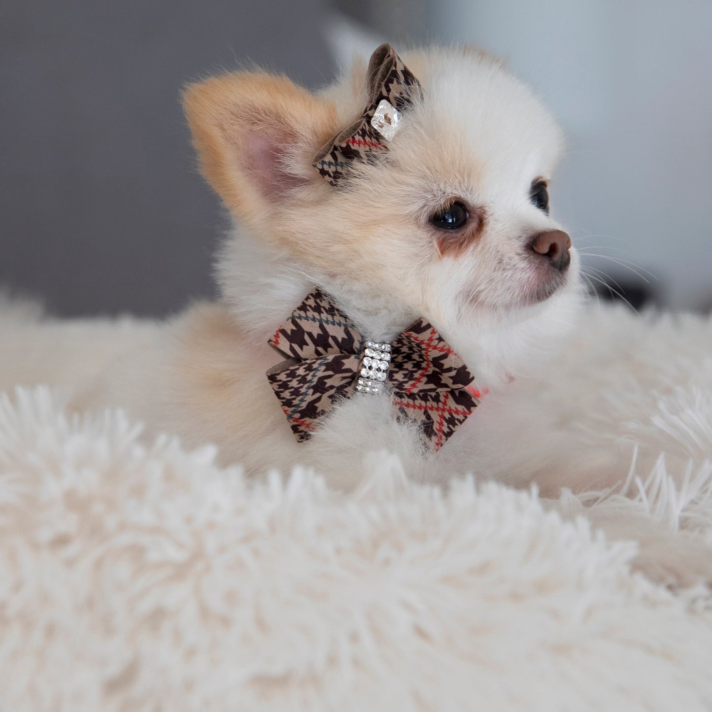 Chocolate Glen Houndstooth Nouveau Bow Collar