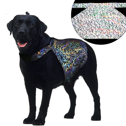 Reflective pet clothing | LePetBoutique