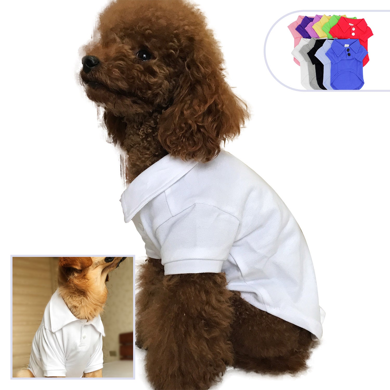 Pet clothing polo shirt | LePetBoutique