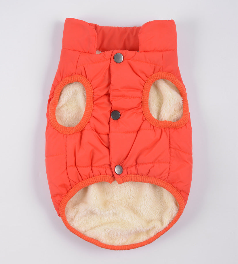 Waterproof outdoor pet clothing | LePetBoutique