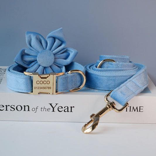 Blue Velvet Dog Collar