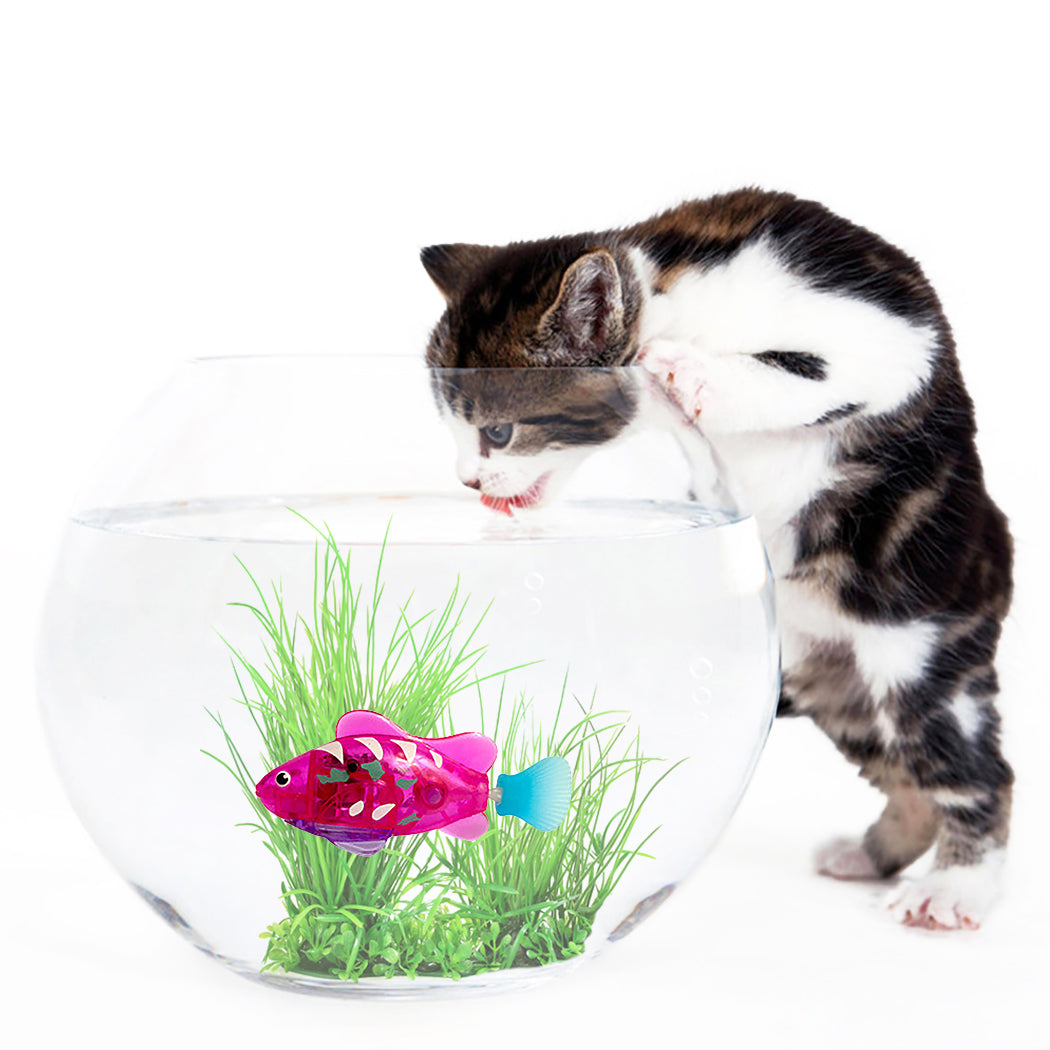 Fish Electronic Cat Toys