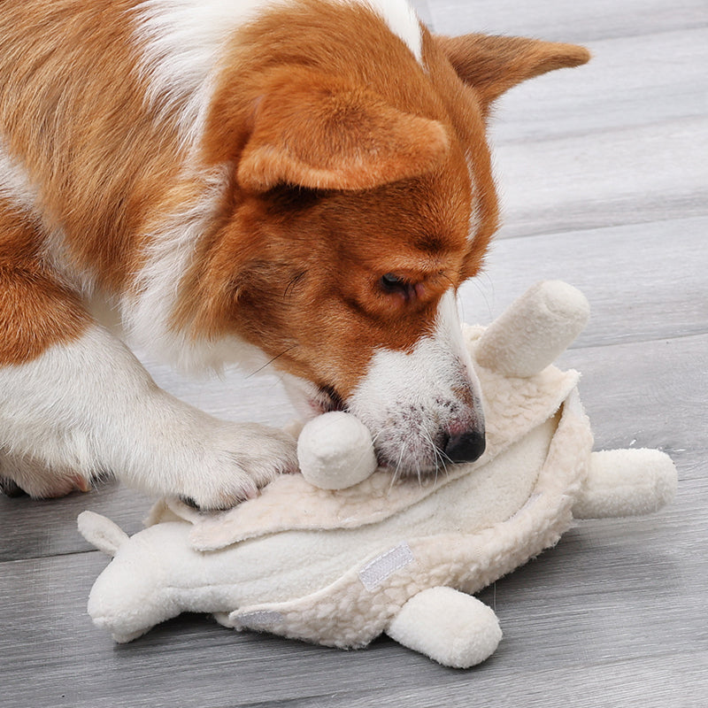 Sniff Tibetan Food Pet Toys