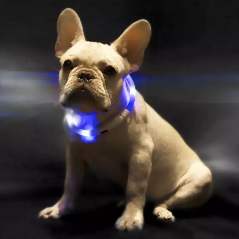 Pet Light Collar Anti-Lost Collar