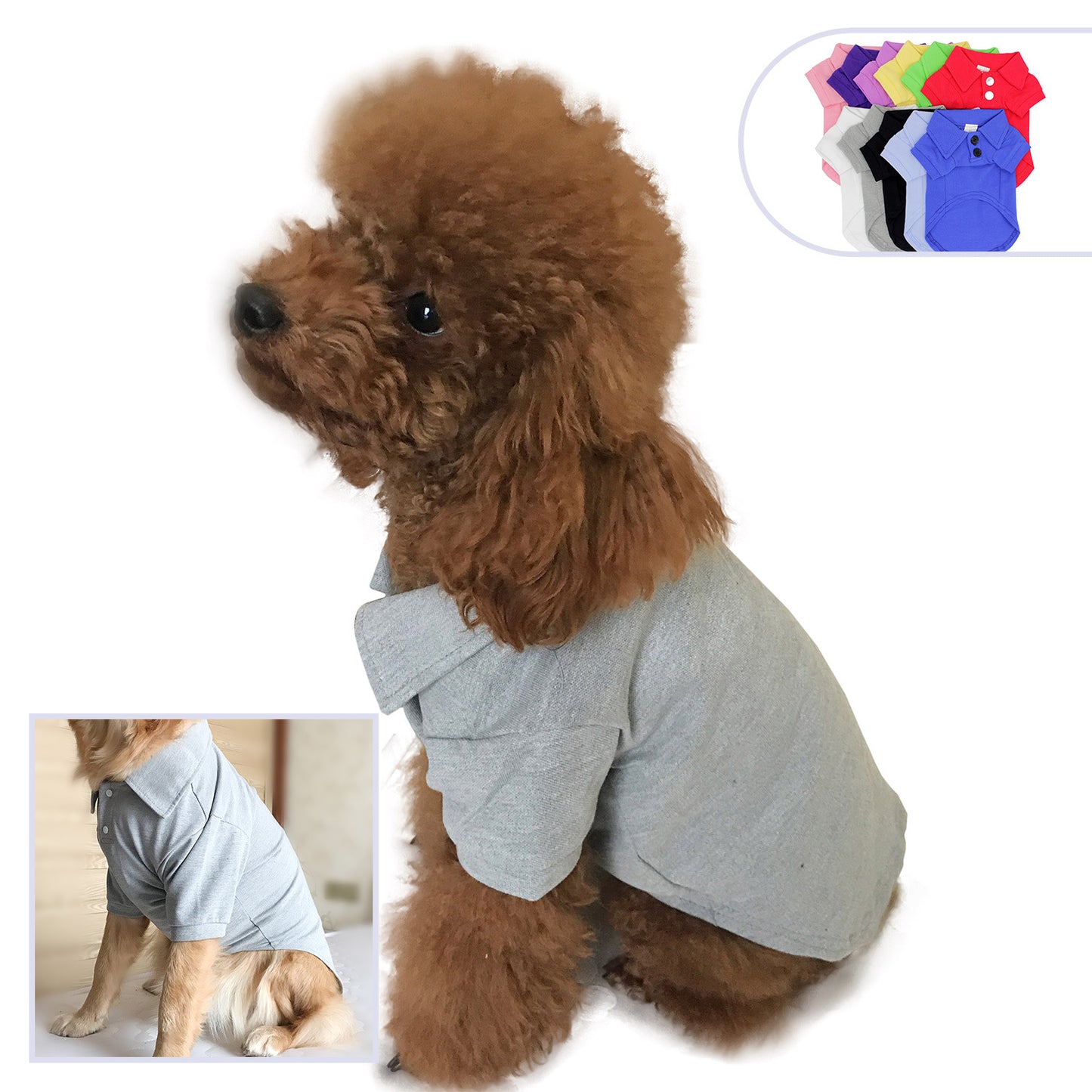 Pet clothing polo shirt | LePetBoutique