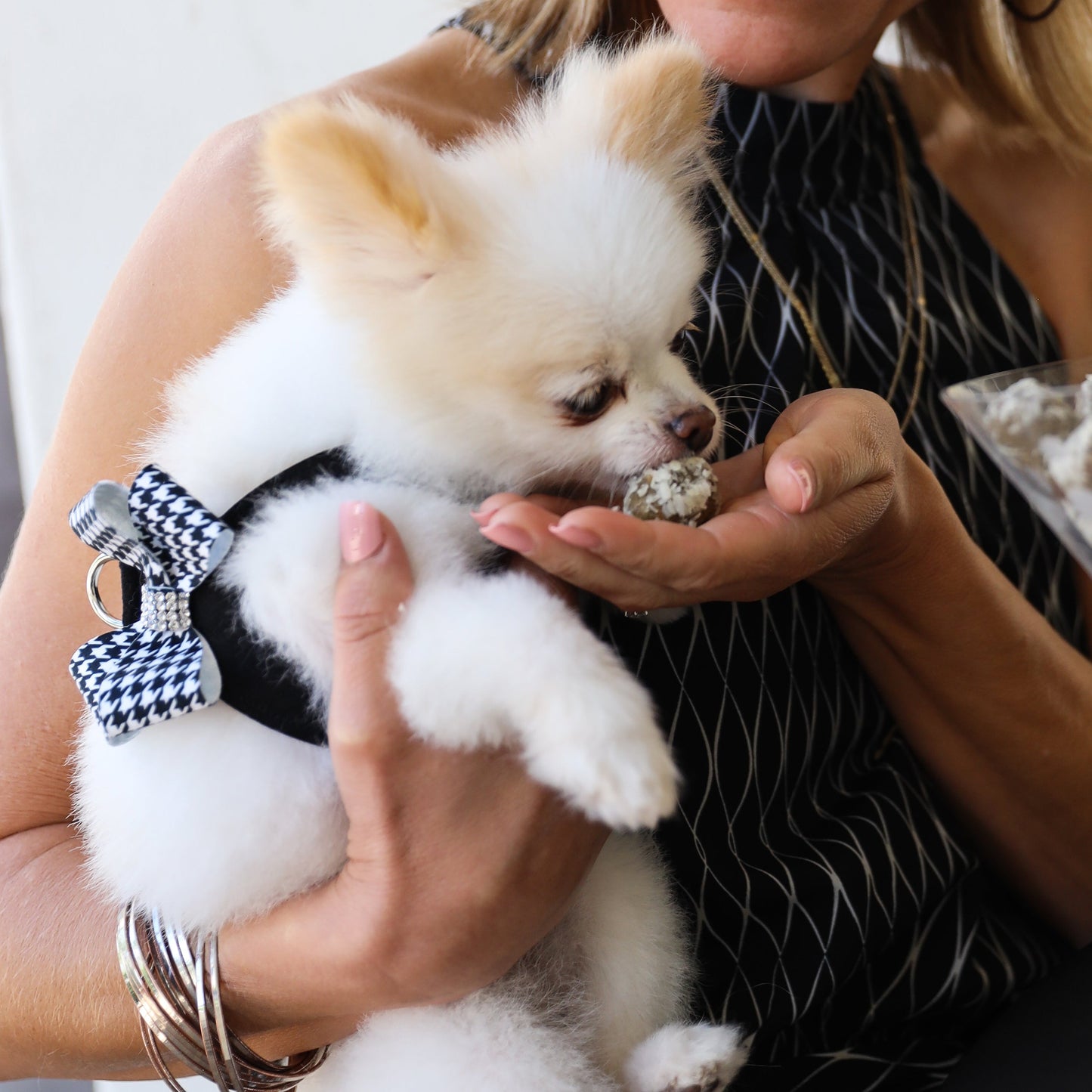 Black & White Houndstooth Nouveau Bow Step In Harness