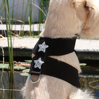 Rock Star Tinkie Harness