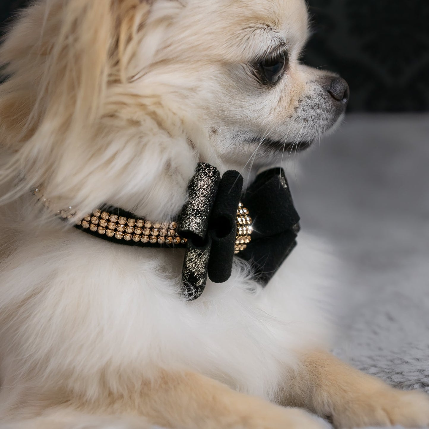 Black Glitzerati Double Nouveau Bow 3 Row Gold Giltmore Collar