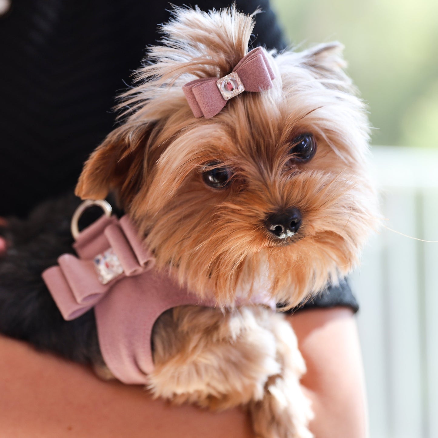 Big Bow Hair Bow