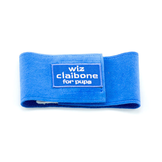 Wiz Claibone Royal Blue Wizzer